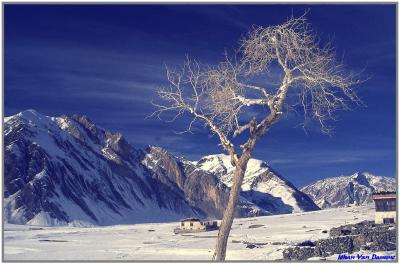 Wintertrek from Ladakh to Zanskar