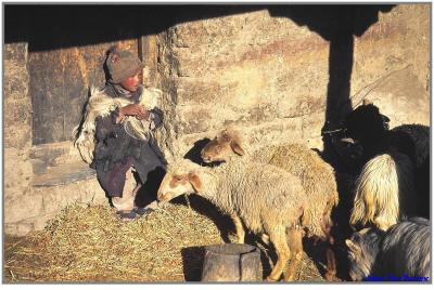 Chaddar Wintertrek to Zanskar