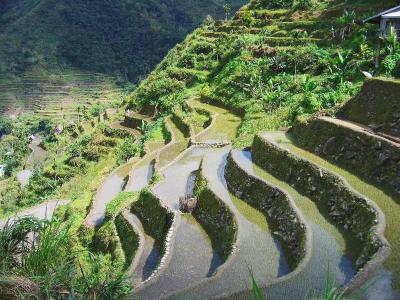 Banaue Central Luzon