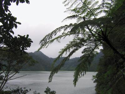 g3/41/376141/3/56984890.FILIPINASDFDF_IMG_3780.jpg