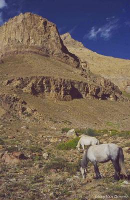 Ladakh (106).jpg