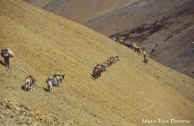 Ladakh (116).jpg