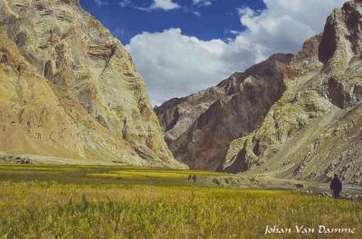 Ladakh (135).jpg