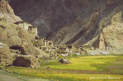 Ladakh (139).jpg