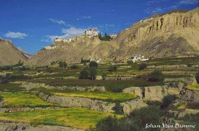 Ladakh (4).jpg