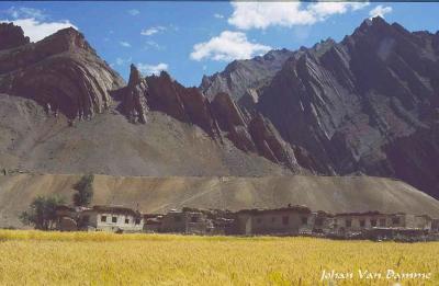 Ladakh (60).jpg