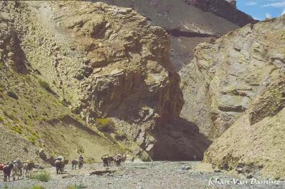 Ladakh (80).jpg