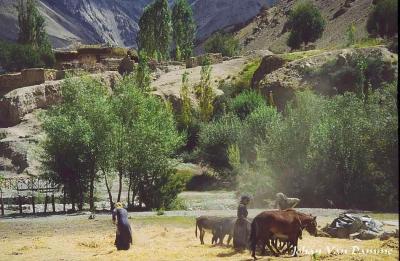 Ladakh (9).jpg