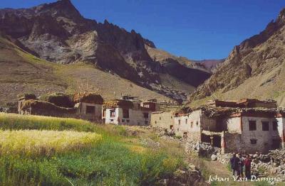 Ladakh (95).jpg