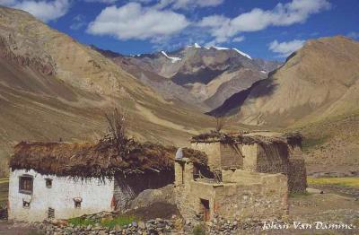 Ladakh (97).jpg