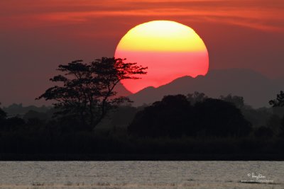 SUNSET AT CANDABA WETLANDS. Jan. 5, 2010, 7D + 400 2.8 IS + Canon 2x TC, 475B/3421 support, f/8, ISO 200, 1/250 sec, manual exposure, uncropped full frame resized to 1200x800