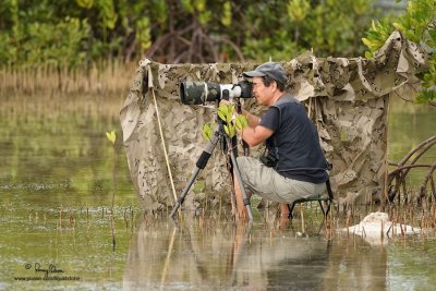 BIRDNUT TATEO. Using a 7D + 300 2.8 (non-IS) + 2x TC, Tateo O. shoots Olango birds from a hide. 

Shooting info - Olango Island, Cebu, March 20, 2010, 7D + 500 f4 IS, 3421/A-328 support,
500 mm,  f/4, ISO 400, 1/800 sec, manual exposure in available light, near full frame, 79.9 m distance. 
