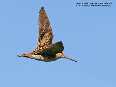 IMG_8751-800x600.jpg