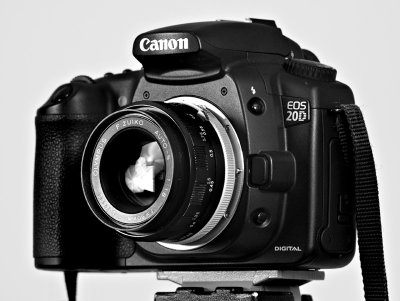 Canon 20D with Olympus FTL 50mm f1.8