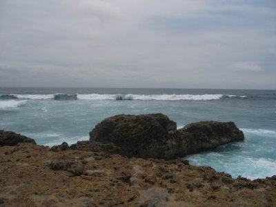 IMG_7327.JPG