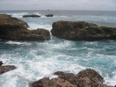 IMG_7343.JPG