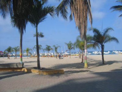 IMG_7378.JPG