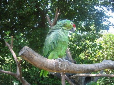 IMG_7458.JPG