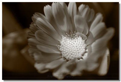 g3/41/399841/3/110634267.OCfRJWe6.jpg