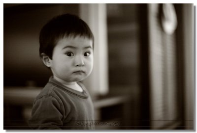 20090210 -- 230939 -- Canon 5D + 50 / 1.2L @ f/1.2, 1/30, ISO 3200