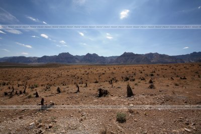 20060811 -- 7948 -- Canon 5D + 16-35 / 2.8L @ 16mm, f/16, 1/80, ISO 100 -- Fullsize