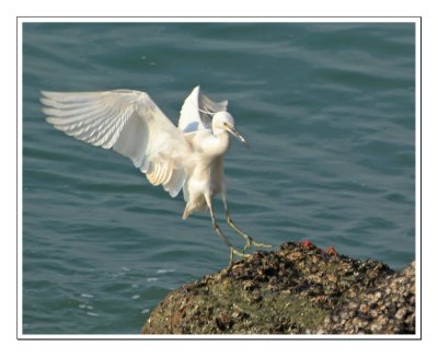 Landing