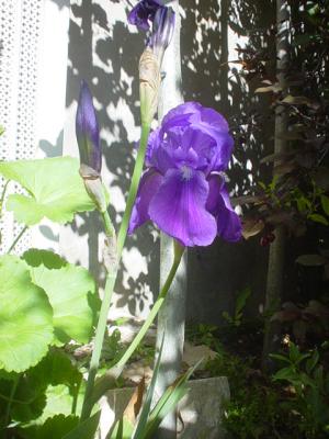 DSC06681.JPG