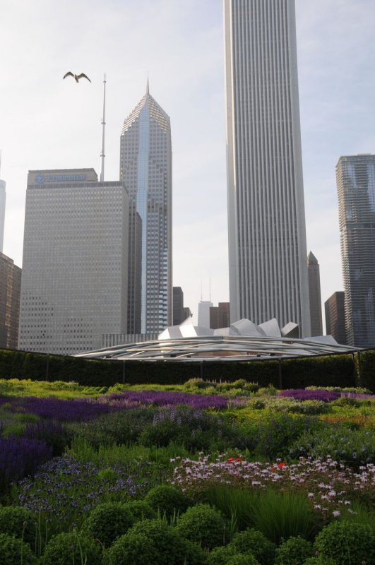 Chicago's Millennium Park