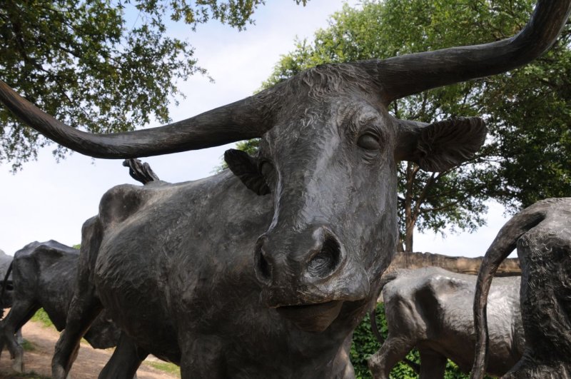 Cattle Drive Sculpture, Dallas Texas Pioneer Plaza