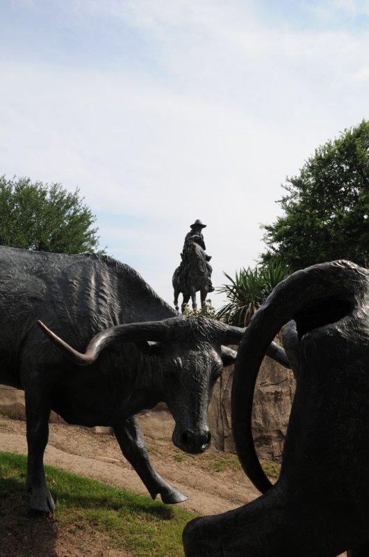 Dallas Pioneer Plaza Cattle Drive