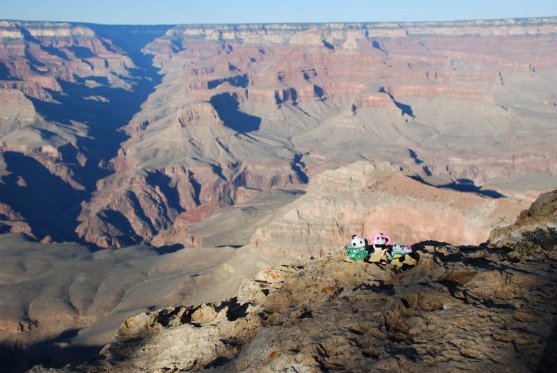 The Pandafords Visit the Grand Canyon