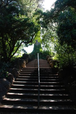Golden Gate Park Stairs