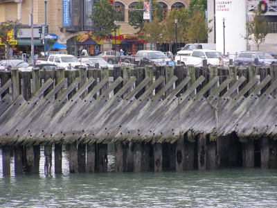 Pier 41