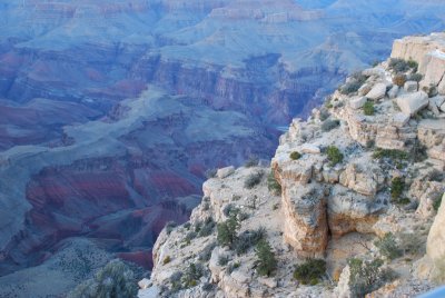 The Grand Canyon