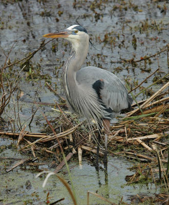 DSC_0057_edited-1.jpg
