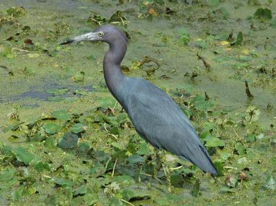 DSC_0082_edited-1.jpg