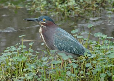 DSC_0010_edited-1.jpg