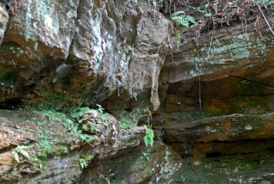The myriad of rock sculptures are formed ...