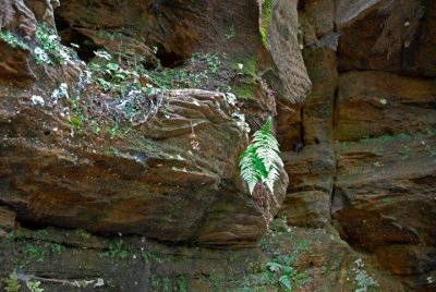 ... by water seeping through the sandstone ...
