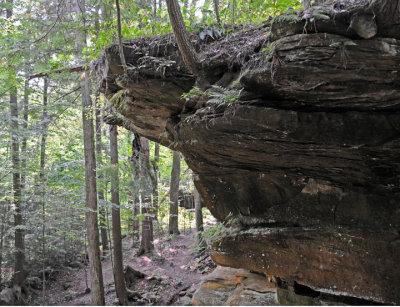 ... carved in the gorge walls ...