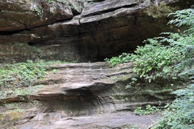 Views from the creek beds ...