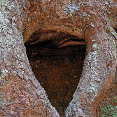 ... interesting hollows ...