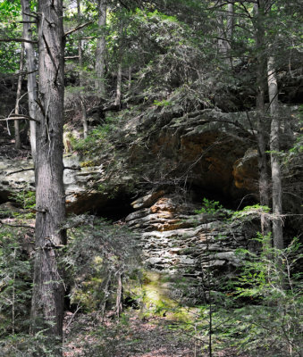 There are fewer shallow caves in the hollow ...