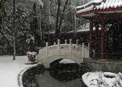 Shangri-La in the Snow