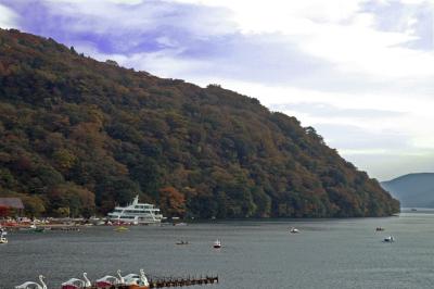 g3/41/581841/3/52776176.LakeAshiLateAutumnDSC_1315.jpg