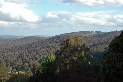 View from Mt Dandenong