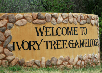 Ivory Tree Game Lodge