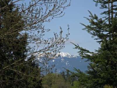 In Stanley Park