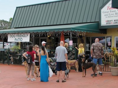 dogpatio.jpg