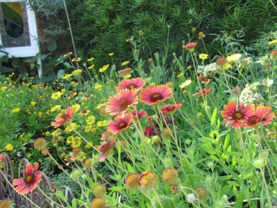 wildflowers.jpg